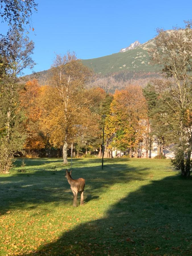 Apartman Štefánik Tatranská Lomnica Esterno foto